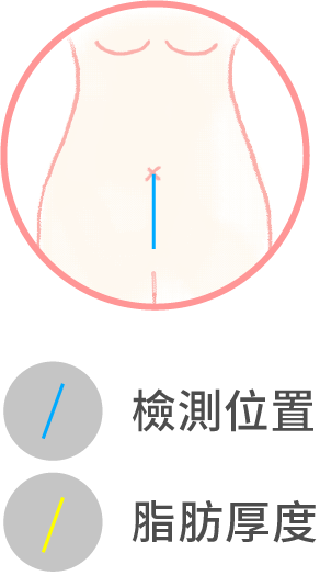 施針範圍&脂肪厚度